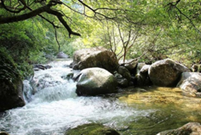 숲 체험 이미지 1