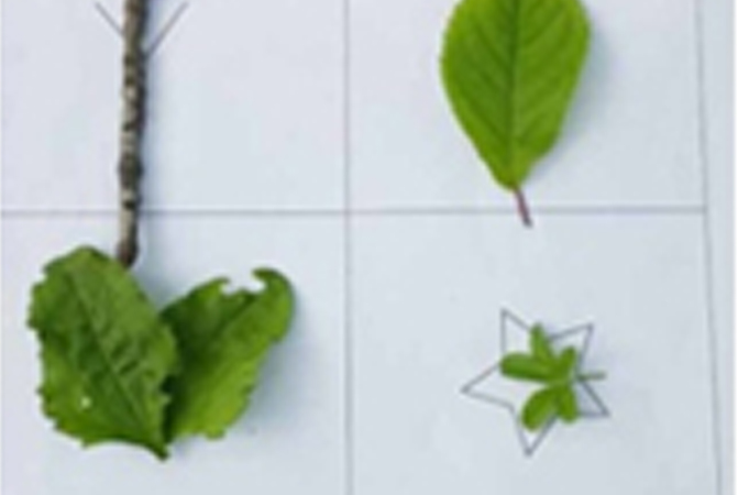 죽계천 수변활동 이미지 3